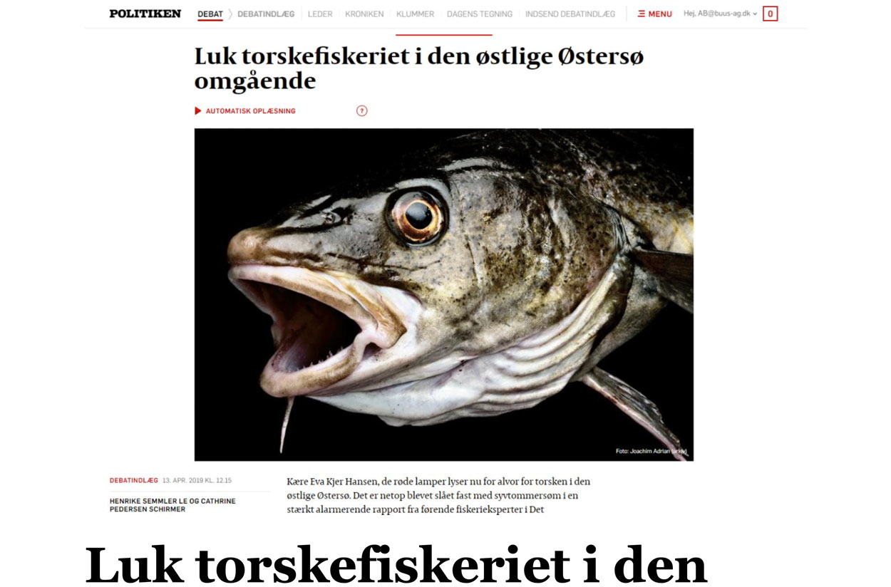 KollComms-Politiken-Fish.jpg